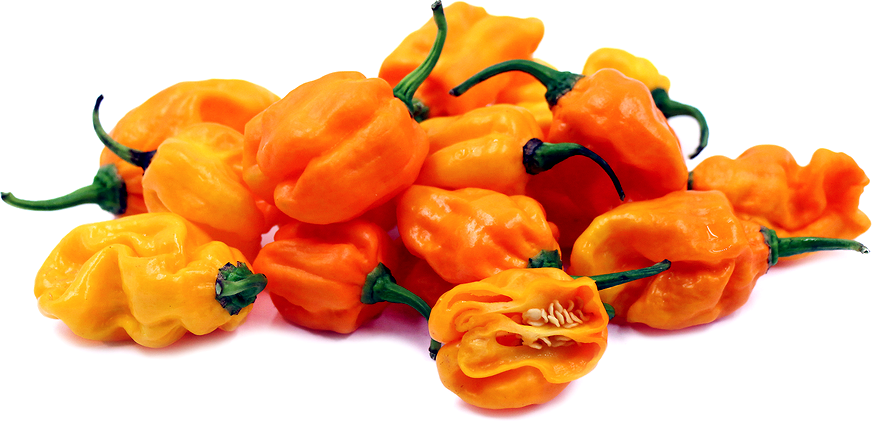 Scotch Bonnet